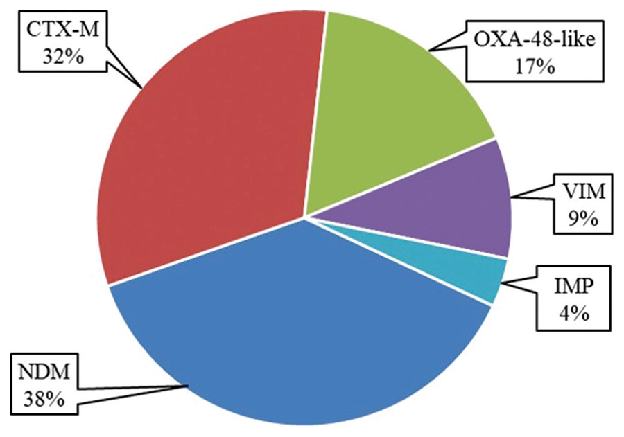 Graphical Abstract